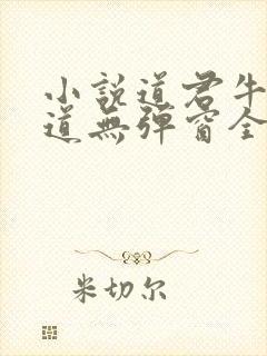 小说道君牛有_道无弹窗全文免费阅读封面