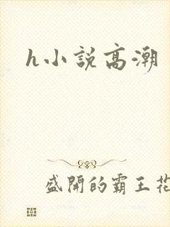 h小说高潮