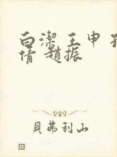 白洁 王申 孙倩 赵振封面