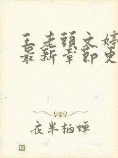 王老头文婷小说最新章节更新时间