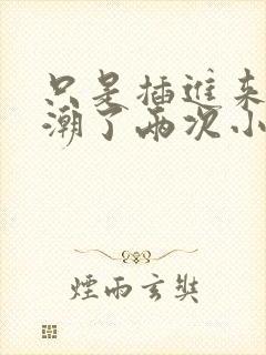 只是插进来就高潮了两次小说