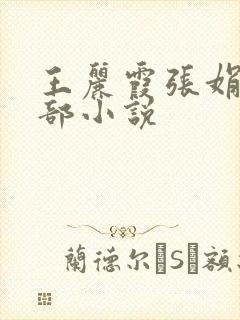 王丽霞张娟第六部小说封面