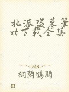 北派盗墓笔记txt下载全集