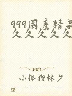 999国产精品久久久久久封面