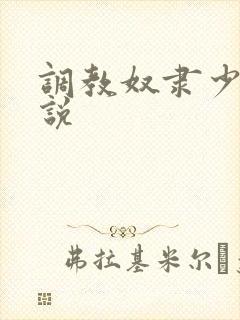 调教奴隶少女小说