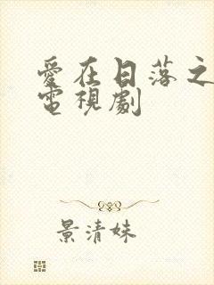 爱在日落之前 电视剧