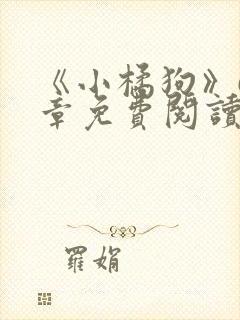 《小橘狗》68章免费阅读