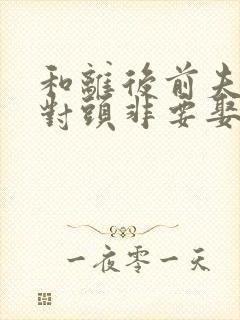 和离后前夫的死对头非要娶我