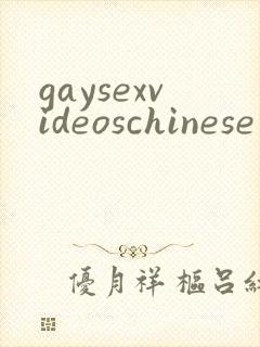 gaysexvideoschinese