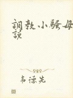 调教小骚母狗小说封面