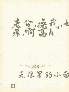 老公,操我,好痒,啊高h