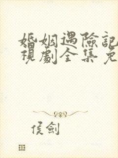 婚姻遇险记 电视剧全集免费观看