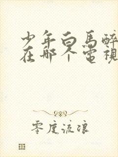 少年白马醉春风在哪个电视台播出