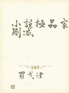 小说极品家丁无删减