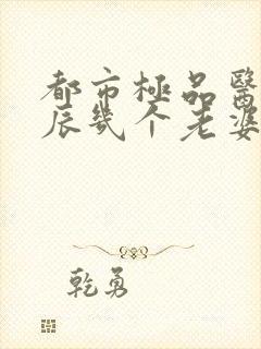 都市极品医神叶辰几个老婆