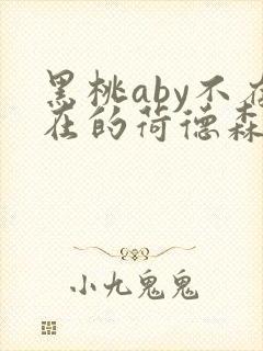 黑桃aby不存在的荷德森笔趣阁