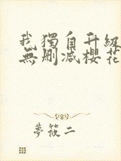 我独自升级动漫无删减樱花