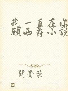 我一直在你身边顾西爵小说