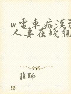 w电车痴汉玩弄人妻在线观看