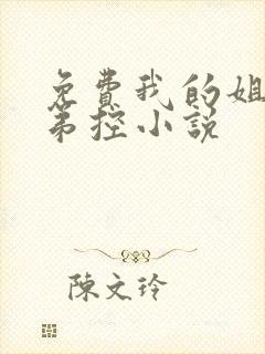 免费我的姐姐很弟控小说