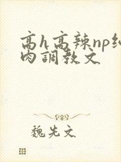 高h高辣np纯肉调教文