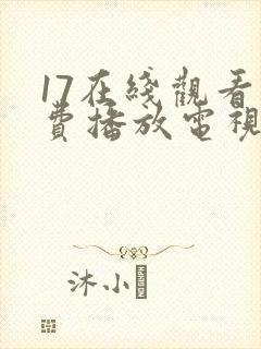 17在线观看免费播放电视剧大全封面