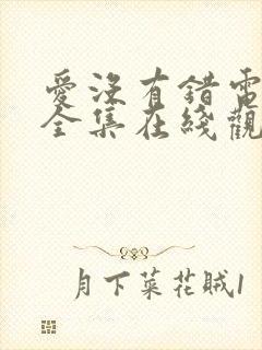 爱没有错电视剧全集在线观看24集