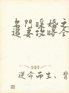 名门暖婚之权爷追妻攻略全文免费阅读