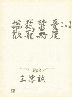 总裁禁爱:小妻欢宠无度