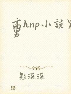 高hnp小说男男