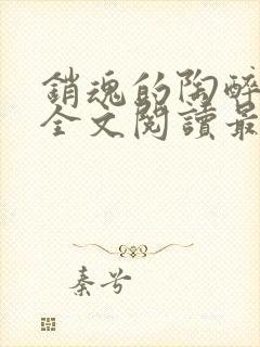 销魂的陶醉小说全文阅读最新章节