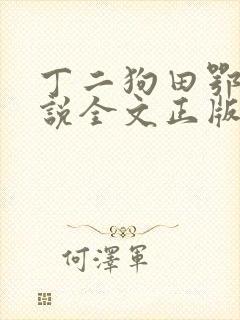 丁二狗田鄂茹小说全文正版免费阅读