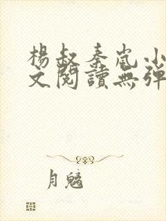 杨叔秦岚小说全文阅读无弹窗