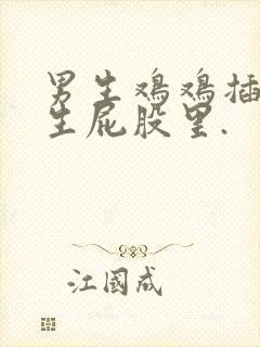 男生鸡鸡插进女生屁股里.封面