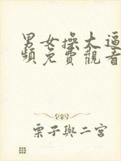 男女操大逼的视频免费观看