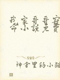 我家哥哥宠妹如命小说免费阅读无弹窗