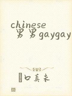 chinese 男男gaygay 网站封面