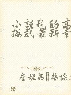 小说我的高冷女总裁最新章节封面