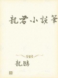 龙君小说笔趣阁