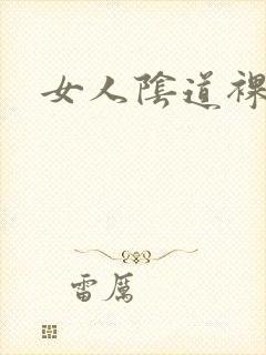 女人阴道裸体照