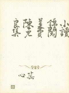 良陈美锦小说全集免费阅读