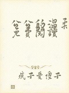 公公的温柔小说免费阅读