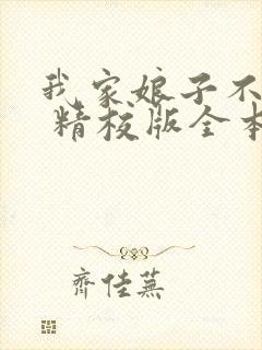 我家娘子不对劲 精校版全本txt封面