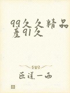 99久久精品国产91久