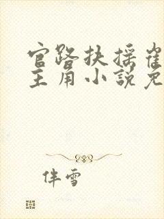 官路扶摇崔向东主角小说免费阅读全部