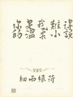 你是我难得一见的温柔小说免费阅读