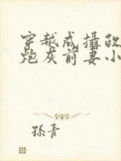 穿越成摄政王的炮灰前妻小说