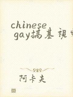 chinese gay搞基视频