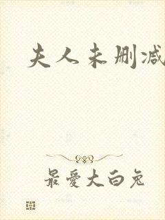 夫人未删减版