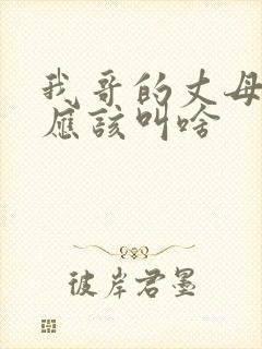 我哥的丈母娘我应该叫啥封面